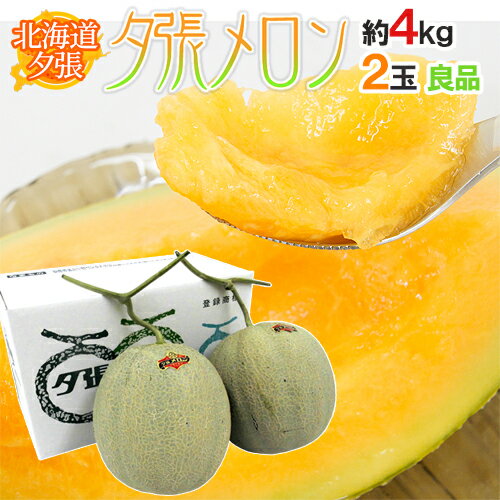 北海道 ”夕張メロン” 共撰・良品 2玉 約4kg 化粧箱【予約 7月中下旬以降】 送料無料