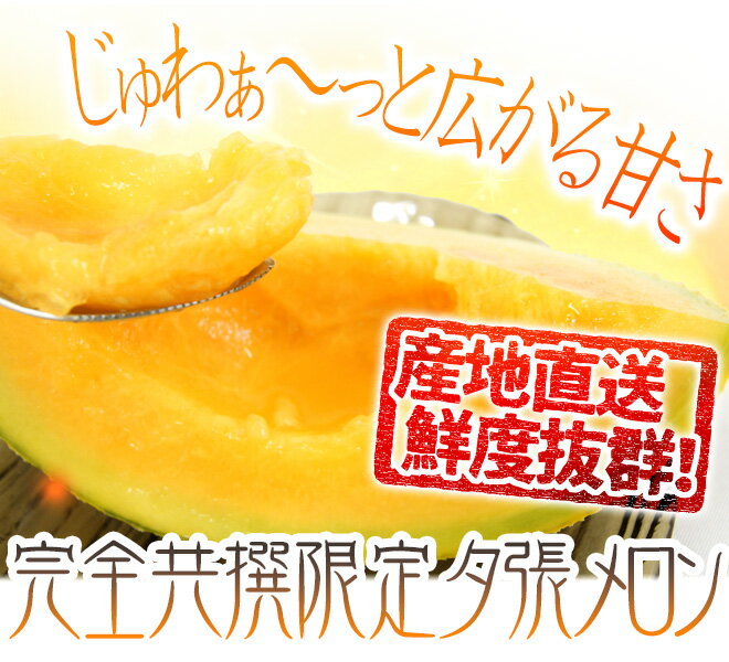 【産地直送】北海道 夕張メロン 2玉 約4kg 共撰・秀品 専用木製化粧箱入り”秀4-2玉（木箱）”【予約 6月下旬以降】 送料無料
