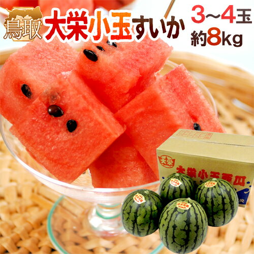 鳥取県 ”大栄小玉スイカ 姫甘泉” 3〜4玉 約8kg【予約 6月以降】 送料無料のサムネイル