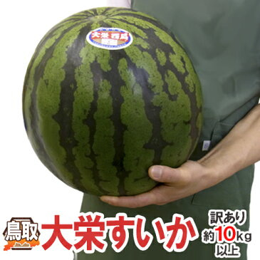 【送料無料】鳥取県 ”ジャンボ大栄すいか” 訳あり 特大5Lサイズ 約10〜11kg 大栄西瓜【予約 6月以降】