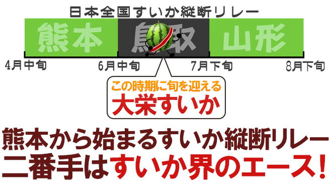 【送料無料】鳥取県 ”ジャンボ大栄すいか” 訳あり 特大5Lサイズ 約10〜11kg 大栄西瓜【予約 6月以降】