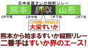 鳥取県 ”ジャンボ大栄すいか” 訳あり 特大5Lサイズ 約10〜11kg 大栄西瓜【予約 6月以降】 送料無料