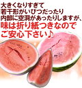 鳥取県 ”ジャンボ大栄すいか” 訳あり 特大5Lサイズ 約10〜11kg 大栄西瓜【予約 6月中旬以降】 送料無料