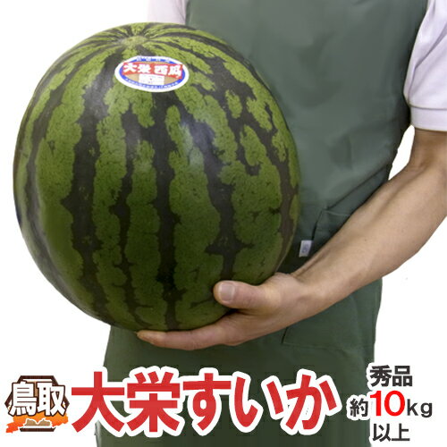 熊本産スイカ　肥後浪漫スイカ1玉（4L・5Lサイズ）(1玉約8〜10kg)【送料無料】【熊本】【スイカ】【果物ギフト】【ご贈答用】【夏ギフト】【お祝い】【贈り物】【ご家庭用】