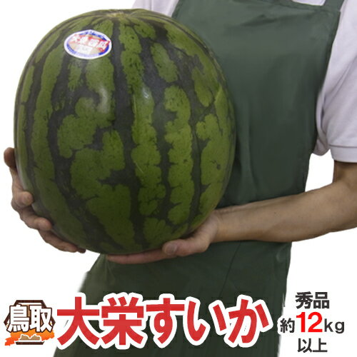 スイカ 鳥取県 ”ジャンボ大栄すいか” 秀品 特大6L 約12kg以上 大栄西瓜【予約 6月以降】 送料無料