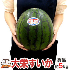 鳥取県 ”大栄すいか” 秀品 約5kg以上 Mサイズ 1玉 大栄西瓜【予約 6月以降】 送料無料