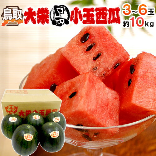 鳥取県 ”大栄黒小玉スイカ” 秀品 3〜6玉 約10kg すいか【予約 9月以降】 送料無料のサムネイル