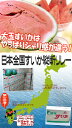 熊本県産 ”熊本すいか” 訳あり 2L〜3Lサイズ 1玉 約7kg〜9kg【予約 4月以降】 送料無料