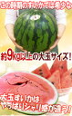 熊本県産 ”超大玉 熊本すいか” 訳あり 4L〜5Lサイズ 1玉 約9kg〜11kg【予約 4月以降】 送料無料