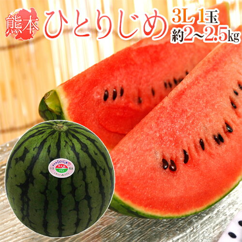 熊本産 ”小玉すいか ひとりじめ” 秀・優 3L1玉 約2～2.5kg【予約 4月以降】のサムネイル
