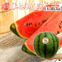 熊本産 ”小玉すいか ひとりじめ” 4L1玉 約3kg前後 ちょっと訳あり【予約 4月以降】