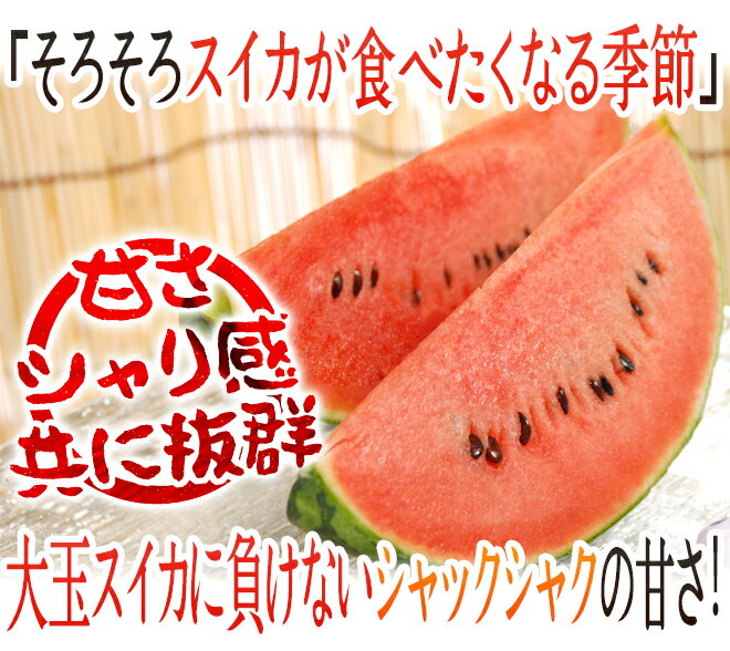 熊本産 ”小玉すいか ひとりじめ” 秀・優 1玉 約1.5kg前後【予約 4月以降】