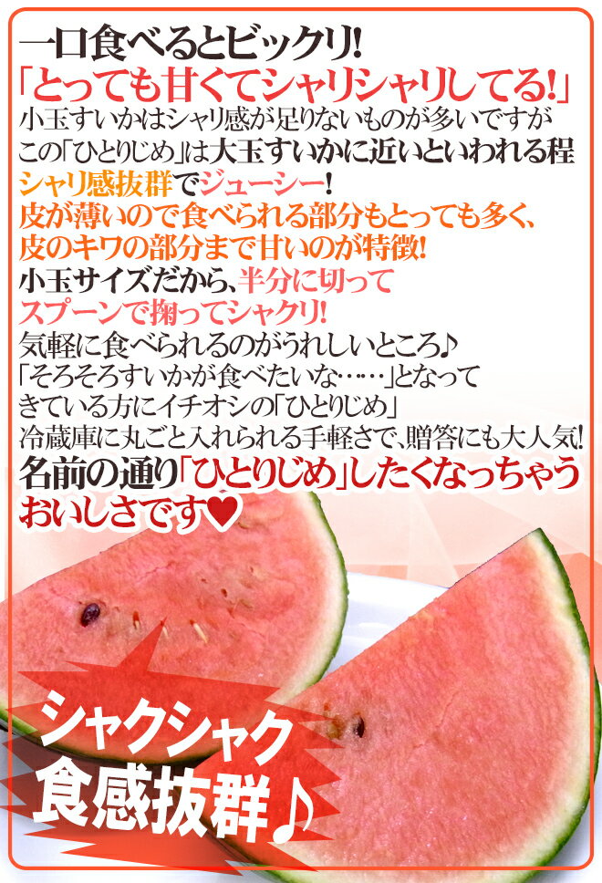 熊本産 ”小玉すいか ひとりじめ” 秀・優 1玉 約1.5kg前後【予約 4月以降】