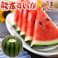 熊本県 ”熊本すいか” 秀/優品 約5kg以上 1玉【予約 5月中旬以降】 送料無料