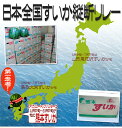 熊本県 ”熊本すいか” 秀/優品 約5kg以上 1玉【予約 5月中旬以降】 送料無料