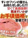 熊本県 ”熊本すいか” 訳あり 約3kg以上 1玉【予約 4月以降】 送料無料 2