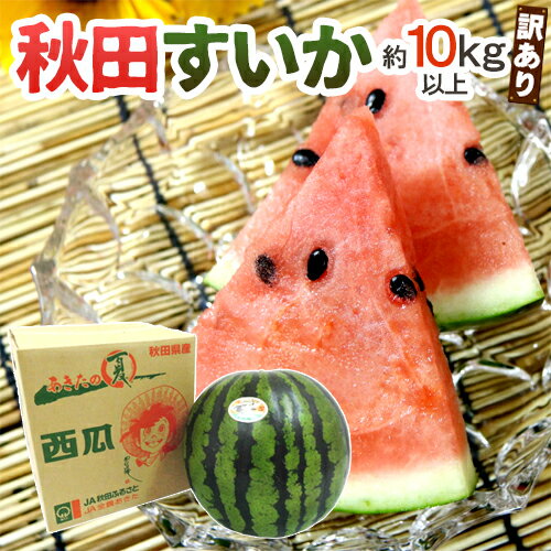 秋田県 ”秋田すいか” 訳あり 約10～11kg以上【予約 7月下旬～8月以降】 送料無料のサムネイル
