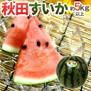 ”秋田県 秋田すいか” 秀品 約5kg以上【予約 7月下旬~8月以降】 送料無料