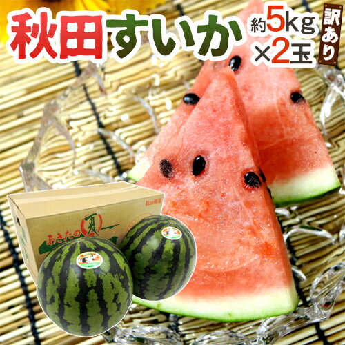 秋田県 ”秋田すいか” 訳あり 約5kg以上×2玉【予約 7月下旬〜8月以降】 送料無料 秋田県 ”秋田すいか” 訳あり 約5kg以上×2玉【予約 7月下旬〜8月以降】 送料無料