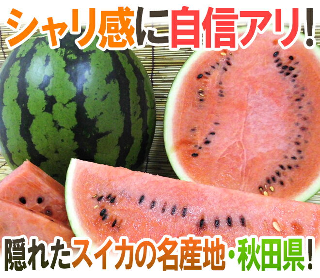 秋田県 ”秋田すいか” 訳あり 約5kg以上×2玉【予約 7月下旬〜8月以降】 送料無料