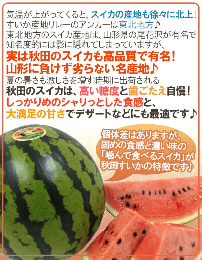 秋田県 ”秋田すいか” 訳あり 約5kg以上×2玉【予約 7月下旬〜8月以降】 送料無料