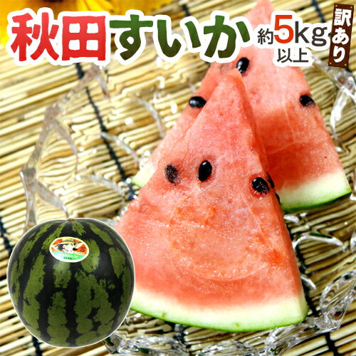 秋田県 ”秋田すいか” 訳あり 約5kg以上【予約 7月下旬〜8月以降】 送料無料のサムネイル