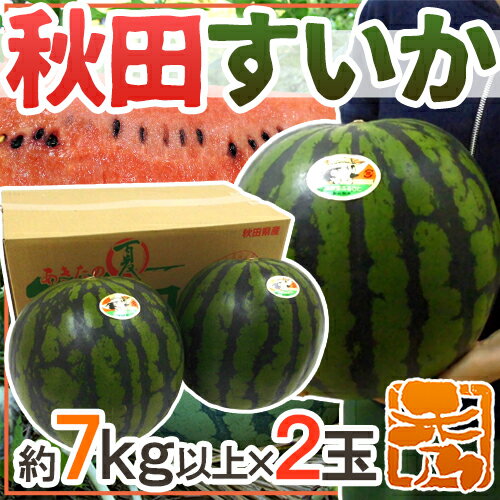 秋田県 ”秋田すいか” 秀品 約7kg以上×2玉【予約 7月下旬〜8月以降】 送料無料