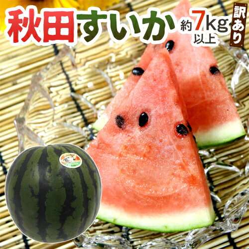 ”秋田県 秋田すいか” 訳あり 約7kg以上【予約 7月下旬～8月以降】 送料無料のサムネイル