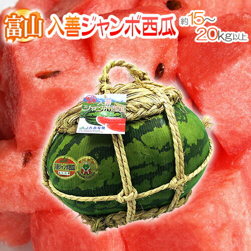 【エントリーでポイント最大10倍】富山県産 すいか ”入善ジャンボ西瓜” 秀品 1玉 約15〜20kg以上【予約 7月下旬以降】 送料無料のサムネイル