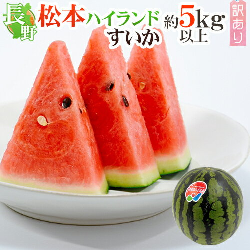 長野県 ”松本ハイランドすいか” 訳あり 約5kg以上【予約 7月下旬以降】 送料無料のサムネイル