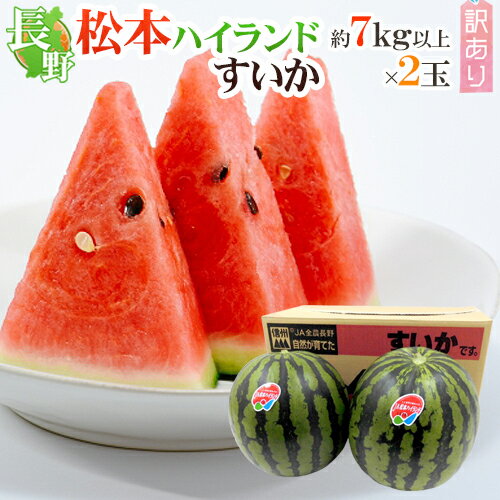 長野県 ”松本ハイランドすいか” 訳あり 約7kg以上×2玉【予約 7月下旬以降】 送料無料のサムネイル
