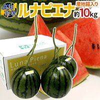 高知県夜須町 温室スイカ ”ルナピエナ” 3〜5玉 約10kg【予約 3月以降】 送料無料