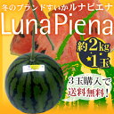 高知県夜須町 温室スイカ ”ルナピエナ” 1玉 約2kg 3...