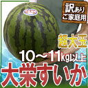 【送料無料】【予約】鳥取県 訳あり ”ジャンボ大栄すいか” 約11kg！特大5Lサイズ！あの大栄西瓜が驚きのビッグサイズ！（6月中旬以降の発送予定）スイカ/鳥取産【楽ギフ_のし宛書】