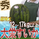 【送料無料】【予約】鳥取県 ”ジャンボ大栄すいか” 特大6L!12kg以上!秀品!あの大栄西瓜が驚きのビッグサイズ!(6月中旬以降の発送予定)スイカ/鳥取産【楽ギフ_包装】 - くらし快援隊