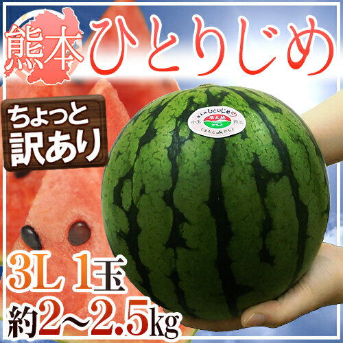 【予約】熊本産 ちょっと訳あり ”小玉すいか ひとりじめ” 3L1玉 約2.5kg 大玉すいかに負けないシャクシャク食感♪（4月発送予定）【楽ギフ_のし宛書】