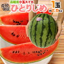 ”小玉すいか ひとりじめ” 3L 1玉 約2.5kg 産地厳選【予約 5月下旬以降】 送料無料