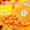 和歌山産 ”有田みかん” 秀品 S/Mサイズ 約5kg ありだみかん【予約 11月末以降】 送料無料