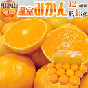 みかん 和歌山県産 ”温室 有田みかん” 12玉前後 約1kg 化粧箱【予約 5月末以降】 送料無料