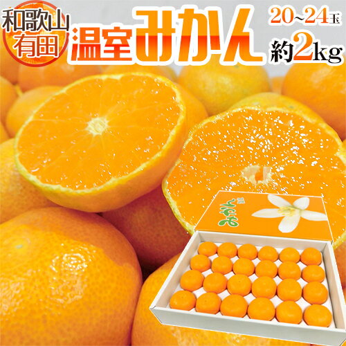 みかん 和歌山県産 ”温室 有田みかん” 20〜24玉前後 約2kg 化粧箱【予約 5月末以降】 送料無料