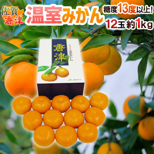 佐賀産 JAからつ ”唐津 温室みかん” 12玉 約1kg 糖度13度以上！ 化粧箱 ハウスみかん【予約 6月以降】 送料無料のサムネイル