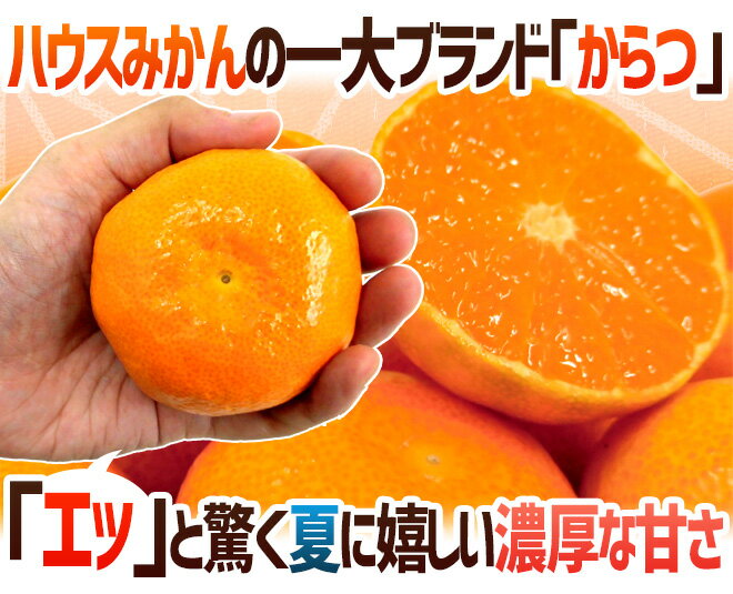 ”佐賀産 JAからつ ハウスみかん” 大玉Lサイズ 16玉前後 約2kg バラ詰め 温室みかん【予約 6月以降】 送料無料