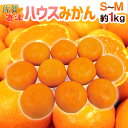 佐賀産 JAからつ ”ハウスみかん” S/Mサイズ 10〜12玉前後 約1kg バラ詰め 温室みかん【予約 6月以降】 送料無料