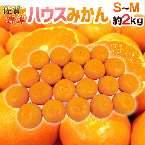 ”佐賀産 JAからつ ハウスみかん” S