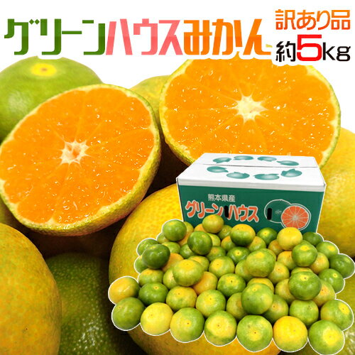 ɥ꡼ϥߤ  5kg 礭ޤ ϸ ߤͽ 8ʹߡ ̵