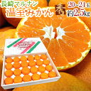 長崎産 ○南(マルナン) ”温室みかん” 秀品 20〜24玉 約2.5kg 化粧箱【予約 6月中旬以降】 送料無料