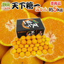 静岡 とぴあみかん ”天下糖一” 赤秀品 約5kg 大きさおまかせ 最低糖度12度保証【予約 10月末以降】 送料無料
