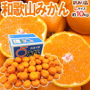 ”和歌山みかん” 訳あり Lサイズ 約10kg【予約 11月末以降】 送料無料
