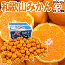 【送料無料】”和歌山みかん” 訳あり Sサイズ 約10kg【予約 11月下旬以降】