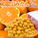 ”和歌山みかん” 秀品 S~Mサイズ 約10kg【予約 11月末以降】 送料無料